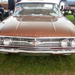 impala3